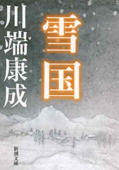 'Il paese delle nevi' copertina del romanzo