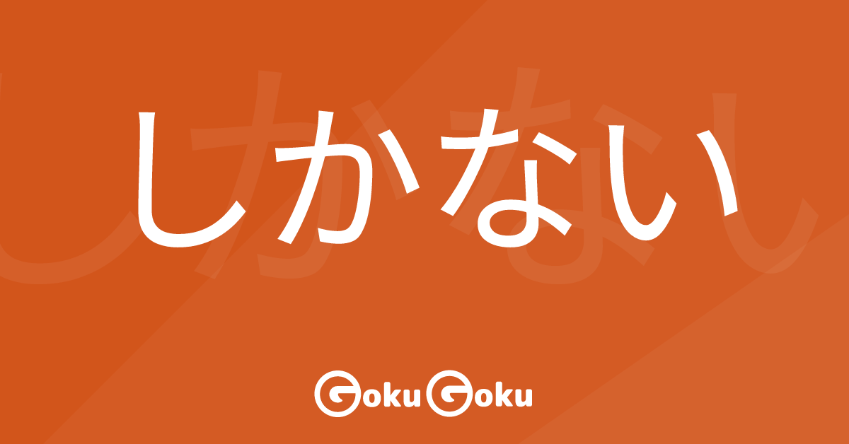 Cosa significa しかない (shikanai) [JLPT N4] – Grammatica Giapponese