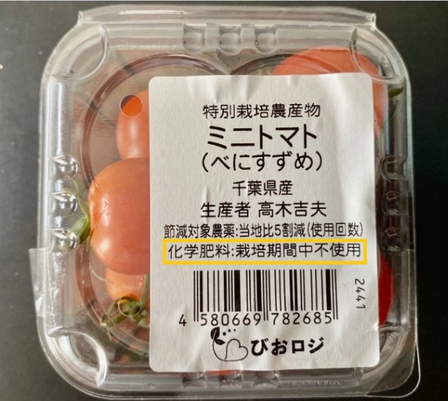 japanesegrammar
